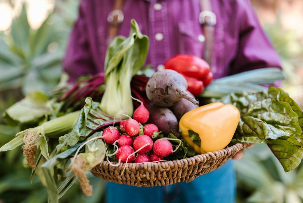 Panier mini tout légumes à lyon : comment bien choisir son petit panier de saison