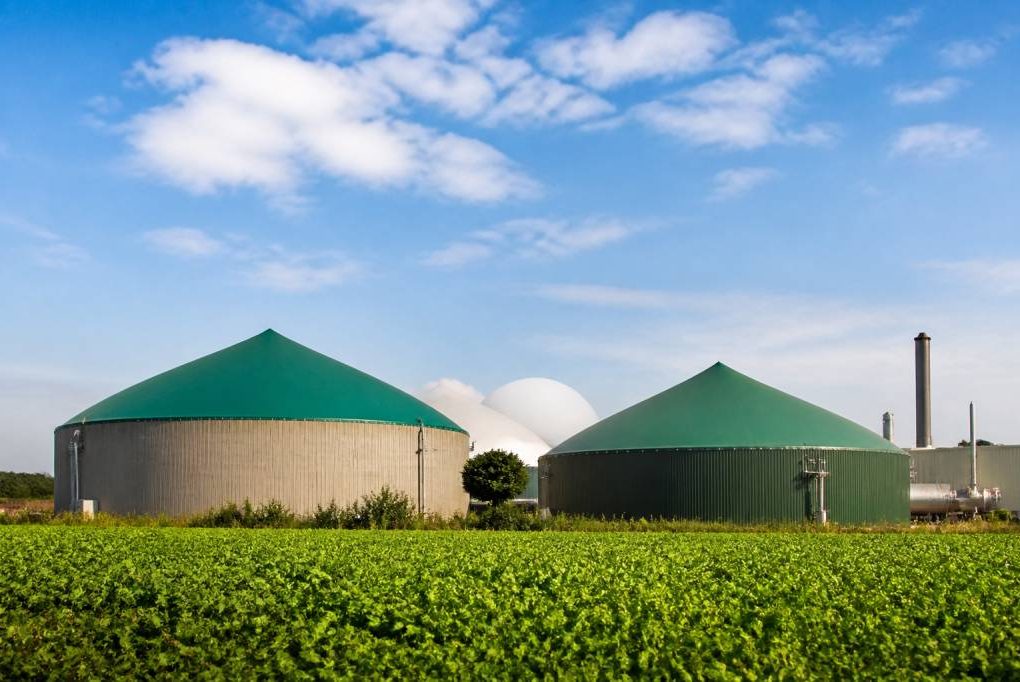 Biogaz et méthanisation : tout comprendre sur cette filière énergétique durable