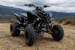 Raptor moto : tout savoir sur ce modèle pour bien le choisir