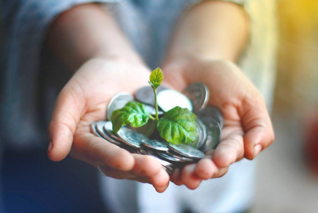 Banque écologique : comment choisir un établissement vraiment responsable