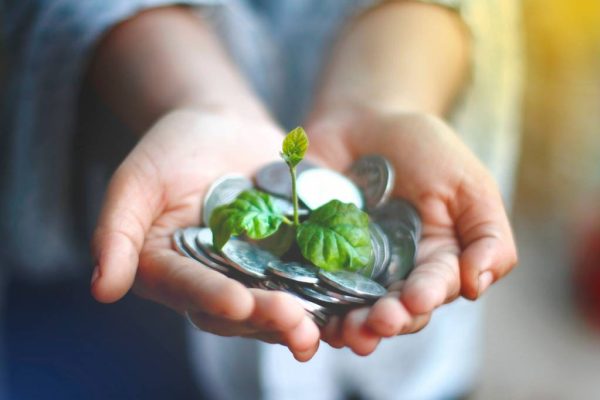 Banque écologique : comment choisir un établissement vraiment responsable