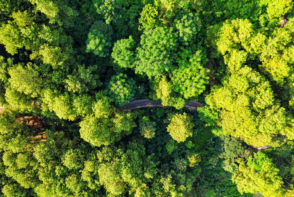 EsG finance : comprendre les enjeux d’une finance durable