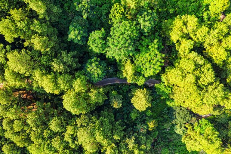 EsG finance : comprendre les enjeux d’une finance durable